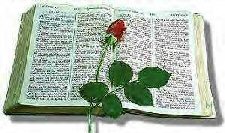 bible and rose1.jpg (14315 bytes)